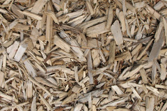 biomass boilers Skulamus