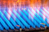 Skulamus gas fired boilers
